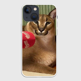 Чехол для iPhone 13 mini с принтом Шлёпа в Тюмени,  |  | floppa | большой | военный | каракал | кот | преступник | русский | шлёпа
