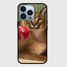 Чехол для iPhone 13 Pro с принтом Шлёпа в Тюмени,  |  | Тематика изображения на принте: floppa | большой | военный | каракал | кот | преступник | русский | шлёпа