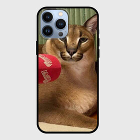 Чехол для iPhone 13 Pro Max с принтом Шлёпа в Тюмени,  |  | floppa | большой | военный | каракал | кот | преступник | русский | шлёпа