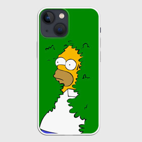 Чехол для iPhone 13 mini с принтом Мем с Гомером в Тюмени,  |  | gomer | mem | simpsons | the simpson | гомер | мем | мемы | мульт | мультфильм | симпсоны