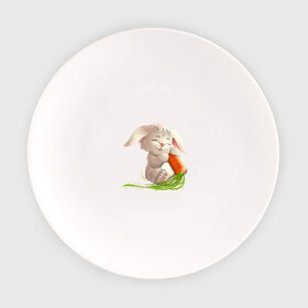 Тарелка с принтом Солнышко с морковкой в Тюмени, фарфор | диаметр - 210 мм
диаметр для нанесения принта - 120 мм | животное | зайчик | заяц | зверь | кролик | морковка | пушистый | серый зайка | уши | хвост