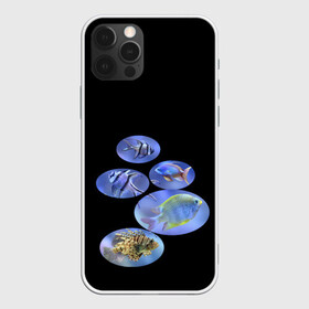 Чехол для iPhone 12 Pro с принтом Море внутри в Тюмени, силикон | область печати: задняя сторона чехла, без боковых панелей | аквариум | из воды | море | риф | рыбки
