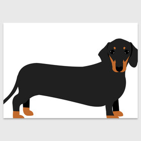 Поздравительная открытка с принтом Такса в Тюмени, 100% бумага | плотность бумаги 280 г/м2, матовая, на обратной стороне линовка и место для марки
 | dachshund | видео про животных | животные | карликовая такса | порода | порода такса | породы собак | про собак | смешная такса | собака | собаки | такса | такса описание породы | такса собака