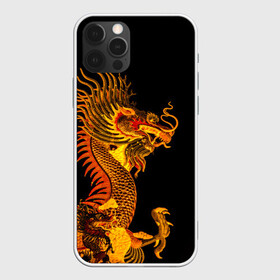Чехол для iPhone 12 Pro Max с принтом Золотой китайский дракон в Тюмени, Силикон |  | азиатский дракон | дракон | золотой | золотой азиатский дракон | золотой дракон | золотой китайский дракон | золотой японский дракон | китайский дракон | японский дракон