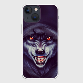 Чехол для iPhone 13 mini с принтом СЕРЫЙ ВОЛК 3D в Тюмени,  |  | волк | горящие глаза | злость | зубы | капишон | оскал | свирепый | туман | ярость