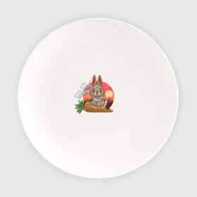 Тарелка с принтом Sweet Bunny в Тюмени, фарфор | диаметр - 210 мм
диаметр для нанесения принта - 120 мм | закат | иллюстрация | крольченок | морковь | сладкий кролик