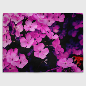 Плед 3D с принтом Цветочный Альянс! в Тюмени, 100% полиэстер | закругленные углы, все края обработаны. Ткань не мнется и не растягивается | Тематика изображения на принте: краски | лес. | отдых | природа | сад | свежесть | спокойствие | цветочки