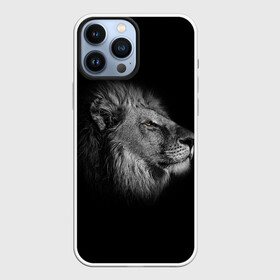 Чехол для iPhone 13 Pro Max с принтом Гордый лев в Тюмени,  |  | Тематика изображения на принте: взгляд | грива | зверь | кот | кошка | лев | мудрость | профиль | царь