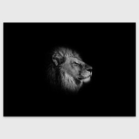 Поздравительная открытка с принтом Гордый лев в Тюмени, 100% бумага | плотность бумаги 280 г/м2, матовая, на обратной стороне линовка и место для марки
 | взгляд | грива | зверь | кот | кошка | лев | мудрость | профиль | царь