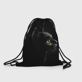 Рюкзак-мешок 3D с принтом Черный кот в Тюмени, 100% полиэстер | плотность ткани — 200 г/м2, размер — 35 х 45 см; лямки — толстые шнурки, застежка на шнуровке, без карманов и подкладки | взгляд | глаза | киса | киска | кот | котик | котяра | профиль | пушистый | усы