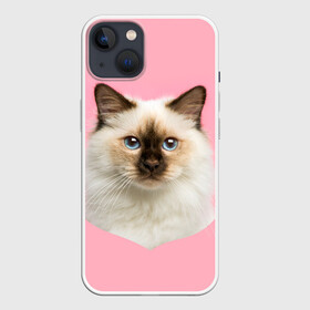 Чехол для iPhone 13 с принтом Пушистый кот в Тюмени,  |  | белоснежный | взгляд | глаза | голубоглазый | киса | киска | кот | котик | котяра | профиль | пушистый | усы | уши