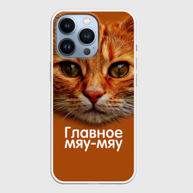 Чехол для iPhone 13 Pro с принтом ГЛАВНОЕ МЯУ МЯУ в Тюмени,  |  | главное мяу мяу | животные | кот | кошка | мордочка | мяу | рыжий