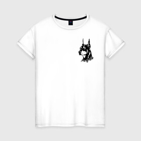 Женская футболка хлопок с принтом Doberman в Тюмени, 100% хлопок | прямой крой, круглый вырез горловины, длина до линии бедер, слегка спущенное плечо | dog | streetwear | доберман | ошейник | собака