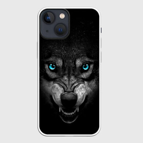 Чехол для iPhone 13 mini с принтом ВОЛК В АБСОЛЮТНОЙ ТЬМЕ в Тюмени,  |  | волк | злость | зубы | ночь | опасность | оскал | тьма | хишник | ярость