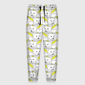 Мужские брюки 3D с принтом Кот с бананом в Тюмени, 100% полиэстер | манжеты по низу, эластичный пояс регулируется шнурком, по бокам два кармана без застежек, внутренняя часть кармана из мелкой сетки | banana | cat | банан | кот | мем