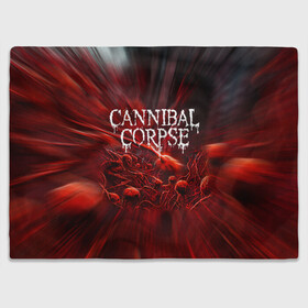 Плед 3D с принтом Blood Cannibal Corpse | Труп Каннибала (Z) в Тюмени, 100% полиэстер | закругленные углы, все края обработаны. Ткань не мнется и не растягивается | Тематика изображения на принте: cannibal | cannibal corpse | corpse | death metal | deathgrind | алекс уэбстер | брутальный дэт метал | дэт метал | дэтграйнд | пол мазуркевич | роб барретт | труп каннибала