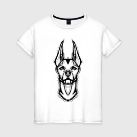 Женская футболка хлопок с принтом Доберман в Тюмени, 100% хлопок | прямой крой, круглый вырез горловины, длина до линии бедер, слегка спущенное плечо | doberman | dog | бойцовская | доберман | собака | собаки