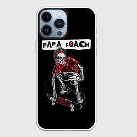 Чехол для iPhone 13 Pro Max с принтом Skater boy в Тюмени,  |  | Тематика изображения на принте: alternative | metall | music | papa roach | rock | альтернатива | металл | музыка | папа роач | папа роуч | папа таракан | рок