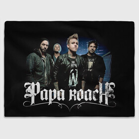 Плед 3D с принтом Papa Roach band в Тюмени, 100% полиэстер | закругленные углы, все края обработаны. Ткань не мнется и не растягивается | alternative | metall | music | papa roach | rock | альтернатива | джекоби шэддикс | джерри хортон | дэйв бакнер | металл | музыка | папа роач | папа роуч | папа таракан | рок | тобин эсперанс | тони палермо