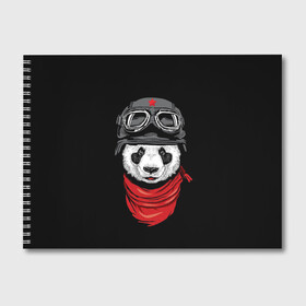 Альбом для рисования с принтом Панда Танкист  в Тюмени, 100% бумага
 | матовая бумага, плотность 200 мг. | Тематика изображения на принте: animal | funny | panda | военный | животные | звери | милые | очки | панда | прикол | хипстер