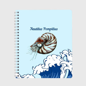 Тетрадь с принтом Nautilus Pompilius океан в Тюмени, 100% бумага | 48 листов, плотность листов — 60 г/м2, плотность картонной обложки — 250 г/м2. Листы скреплены сбоку удобной пружинной спиралью. Уголки страниц и обложки скругленные. Цвет линий — светло-серый
 | Тематика изображения на принте: nau | nautilus pompilius | альбом | ассоциация | внуки энгельса | вячеслав бутусов | группа | настя | нау | наутилус | наутилус помпилиус | наутилусы | нп | рок | русский | советский | урфин джюс | ю питер