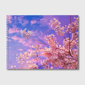Альбом для рисования с принтом Сакура в Тюмени, 100% бумага
 | матовая бумага, плотность 200 мг. | Тематика изображения на принте: весна | дерево | деревья | лепестки | лес | лето | листья | май | на каждый день | небо | облака | осень | поле | розовый цветок | сакура | солнце | тропики | флора | цветок | цветочки | цветы