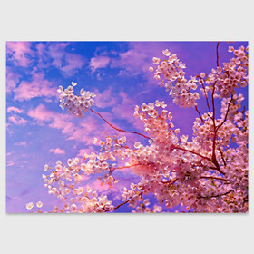 Поздравительная открытка с принтом Сакура в Тюмени, 100% бумага | плотность бумаги 280 г/м2, матовая, на обратной стороне линовка и место для марки
 | весна | дерево | деревья | лепестки | лес | лето | листья | май | на каждый день | небо | облака | осень | поле | розовый цветок | сакура | солнце | тропики | флора | цветок | цветочки | цветы