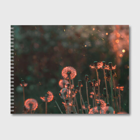 Альбом для рисования с принтом Одуванчик в Тюмени, 100% бумага
 | матовая бумага, плотность 200 мг. | Тематика изображения на принте: весна | деревья | красный цветок | лепестки | лес | лето | листья | май | на каждый день | одуванчик | осень | поле | ромашка | солнце | тропики | флора | цветок | цветочки | цветы