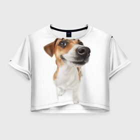 Женская футболка Crop-top 3D с принтом Собака в Тюмени, 100% полиэстер | круглая горловина, длина футболки до линии талии, рукава с отворотами | dog | джек | джек рассел | джек рассел терьер | дог | домашние животные | рассел | рассел терьер | собака | собаки | терьер