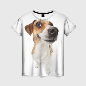 Женская футболка 3D с принтом Собака в Тюмени, 100% полиэфир ( синтетическое хлопкоподобное полотно) | прямой крой, круглый вырез горловины, длина до линии бедер | dog | джек | джек рассел | джек рассел терьер | дог | домашние животные | рассел | рассел терьер | собака | собаки | терьер