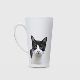 Кружка Латте с принтом смотрящая кошка в Тюмени, Белая керамика | Объем 480 мл; Высота 150 мм; Диаметр 90 мм | голова | домашнее животное | животное | зверь | кот | котёнок | кошка