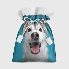 Подарочный 3D мешок с принтом Хаски в Тюмени, 100% полиэстер | Размер: 29*39 см | dog | дог | домашние животные | звери | сибирский хаски | собака | собаки | хаски