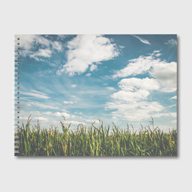 Альбом для рисования с принтом Небушко и полюшко в Тюмени, 100% бумага
 | матовая бумага, плотность 200 мг. | небо | облака | пейзаж | поле | русский | славянский | фотопринт