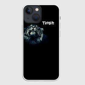 Чехол для iPhone 13 mini с принтом Тигр в Тюмени,  |  | дикие животные | надпись | синий | тигр