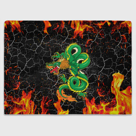Плед 3D с принтом Дракон Огонь Dragon Fire в Тюмени, 100% полиэстер | закругленные углы, все края обработаны. Ткань не мнется и не растягивается | beast | dragon | fire | горелый | дракон | животные | зверь | змей | когти | огонь | пепел | пламя | узор | чб | японский