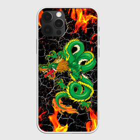 Чехол для iPhone 12 Pro с принтом Дракон Огонь Dragon Fire в Тюмени, силикон | область печати: задняя сторона чехла, без боковых панелей | beast | dragon | fire | горелый | дракон | животные | зверь | змей | когти | огонь | пепел | пламя | узор | чб | японский