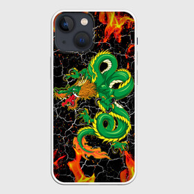 Чехол для iPhone 13 mini с принтом Дракон Огонь Dragon Fire в Тюмени,  |  | beast | dragon | fire | горелый | дракон | животные | зверь | змей | когти | огонь | пепел | пламя | узор | чб | японский