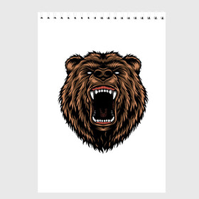 Скетчбук с принтом Свирепый медведь в Тюмени, 100% бумага
 | 48 листов, плотность листов — 100 г/м2, плотность картонной обложки — 250 г/м2. Листы скреплены сверху удобной пружинной спиралью | Тематика изображения на принте: гриззли | животные | звери | медведь