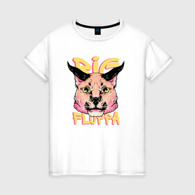 Женская футболка хлопок с принтом Big Cat  Floppa в Тюмени, 100% хлопок | прямой крой, круглый вырез горловины, длина до линии бедер, слегка спущенное плечо | flopa | floppa | каракал | кот мем | мем с котом | русский кот | шлёпа