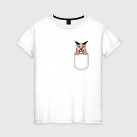 Женская футболка хлопок с принтом Шлёпа в кармане в Тюмени, 100% хлопок | прямой крой, круглый вырез горловины, длина до линии бедер, слегка спущенное плечо | flopa | floppa | каракал | кот мем | мем с котом | русский кот | шлёпа