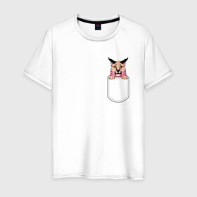 Мужская футболка хлопок с принтом Шлёпа в кармане в Тюмени, 100% хлопок | прямой крой, круглый вырез горловины, длина до линии бедер, слегка спущенное плечо. | Тематика изображения на принте: flopa | floppa | каракал | кот мем | мем с котом | русский кот | шлёпа