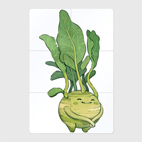 Магнитный плакат 2Х3 с принтом Капуста кольраби в Тюмени, Полимерный материал с магнитным слоем | 6 деталей размером 9*9 см | Тематика изображения на принте: арт | капуста | кольраби | листья | мило | милота | овощ | овощи | рисунок | свежие овощи | свежий овощ | свежий продукт