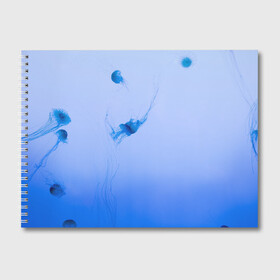 Альбом для рисования с принтом МЕДУЗЫ | ГРАДИЕНТ в Тюмени, 100% бумага
 | матовая бумага, плотность 200 мг. | Тематика изображения на принте: gradient | абстракция | амбре | вода | голубая | голубое | градиент | градиент и ничего лишнего | градиенты | медуза | море | на каждый день | океан | синее | синий | синяя | текстура