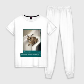 Женская пижама хлопок с принтом Шлёпа в Тюмени, 100% хлопок | брюки и футболка прямого кроя, без карманов, на брюках мягкая резинка на поясе и по низу штанин | каракал | кот | мемы | русский кот | рысь | шлёпа