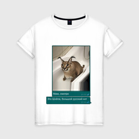 Женская футболка хлопок с принтом Шлёпа в Тюмени, 100% хлопок | прямой крой, круглый вырез горловины, длина до линии бедер, слегка спущенное плечо | каракал | кот | мемы | русский кот | рысь | шлёпа