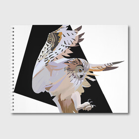 Альбом для рисования с принтом Сова в деле в Тюмени, 100% бумага
 | матовая бумага, плотность 200 мг. | арт | дикие животные | дикие звери | дикие птицы | животное | животные | лягушка | охота | природа | птица | птицы | рисунок | сова