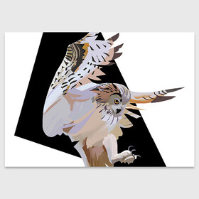 Поздравительная открытка с принтом Сова в деле в Тюмени, 100% бумага | плотность бумаги 280 г/м2, матовая, на обратной стороне линовка и место для марки
 | арт | дикие животные | дикие звери | дикие птицы | животное | животные | лягушка | охота | природа | птица | птицы | рисунок | сова