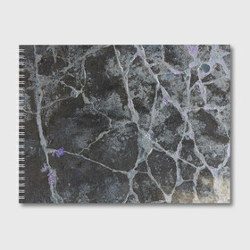 Альбом для рисования с принтом Лунный камень в Тюмени, 100% бумага
 | матовая бумага, плотность 200 мг. | Тематика изображения на принте: art | бетон | булыжник | луна | текстура | трещина