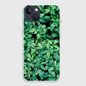 Чехол для iPhone 13 с принтом Барвинок в Тюмени,  |  | art | ветви. | зелень | листья | натуральное | природа | растение