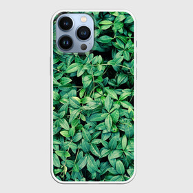 Чехол для iPhone 13 Pro Max с принтом Барвинок в Тюмени,  |  | art | ветви. | зелень | листья | натуральное | природа | растение